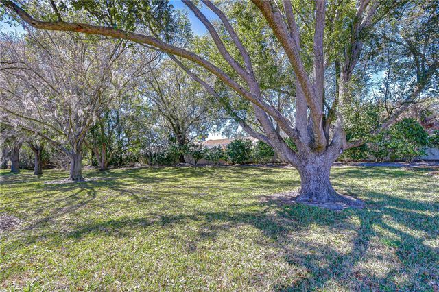 3813 TURKEY OAK DRIVE, Valrico, FL 33596