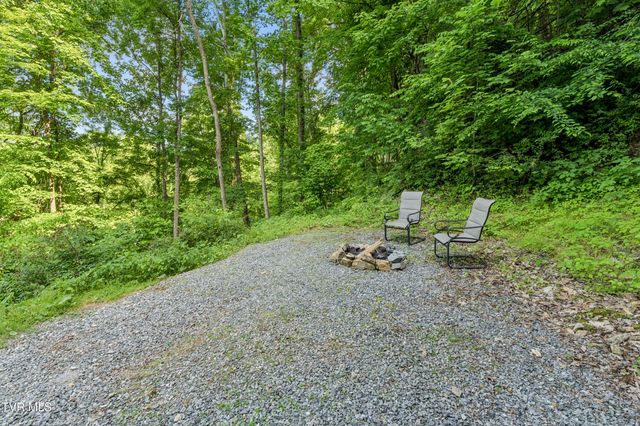 162 Cable Hollow Road, Butler, TN 37640