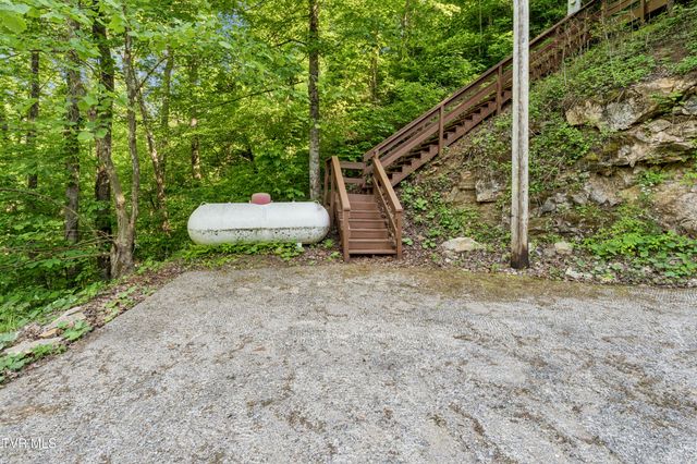 162 Cable Hollow Road, Butler, TN 37640