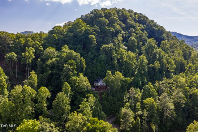 162 Cable Hollow Road, Butler, TN 37640
