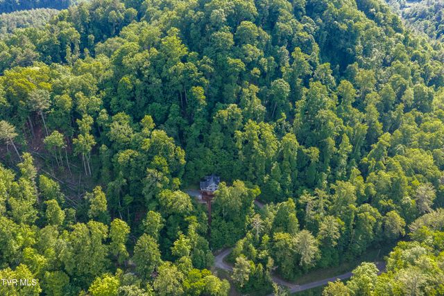 162 Cable Hollow Road, Butler, TN 37640