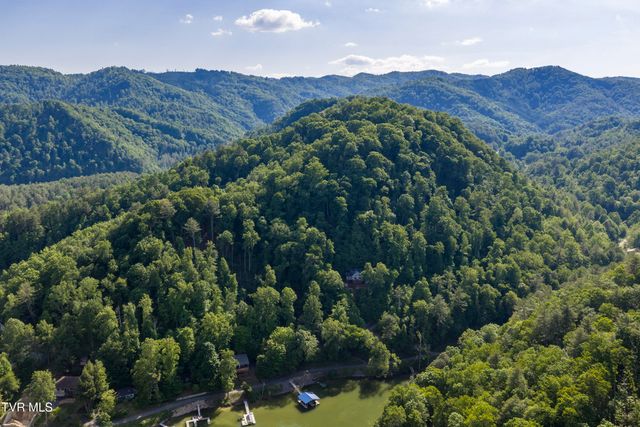 162 Cable Hollow Road, Butler, TN 37640