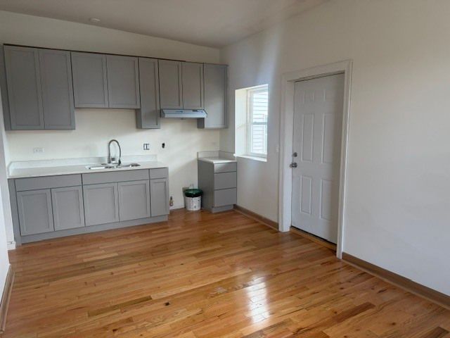 1921 S Saint Louis Avenue, Chicago, IL 60623