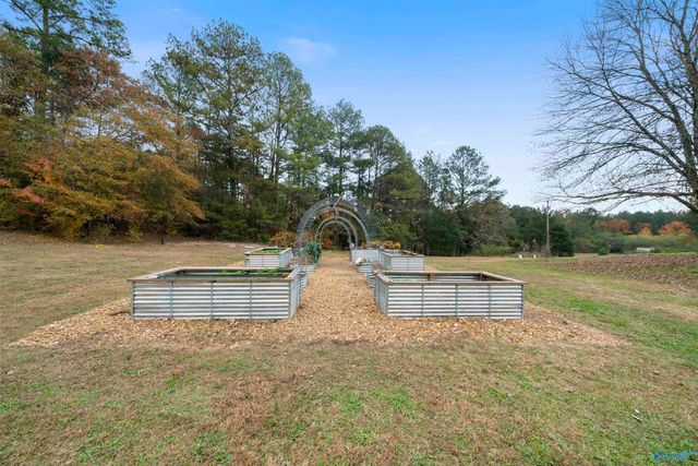 1585 County Road 144, Gaylesville, AL 35973