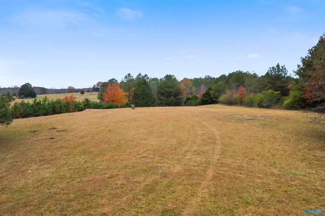 1585 County Road 144, Gaylesville, AL 35973