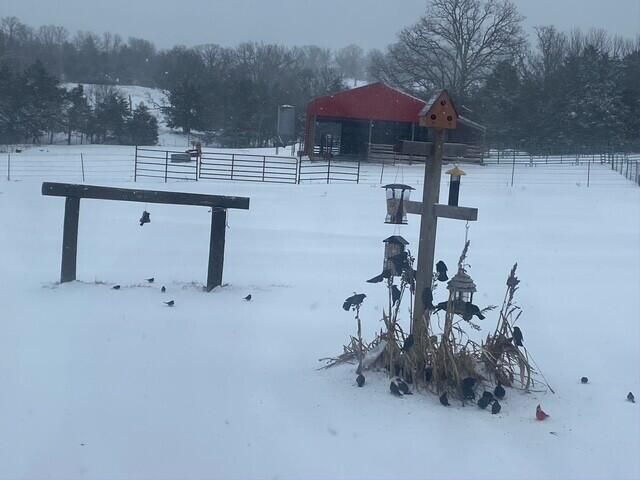 1307 Route Af, Ava, MO 65608