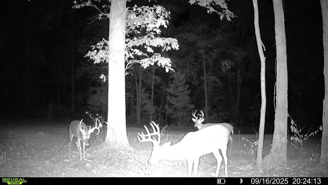 1307 Route Af, Ava, MO 65608