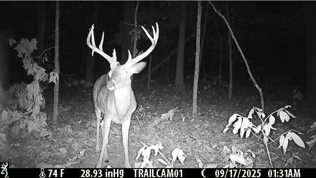 1307 Route Af, Ava, MO 65608