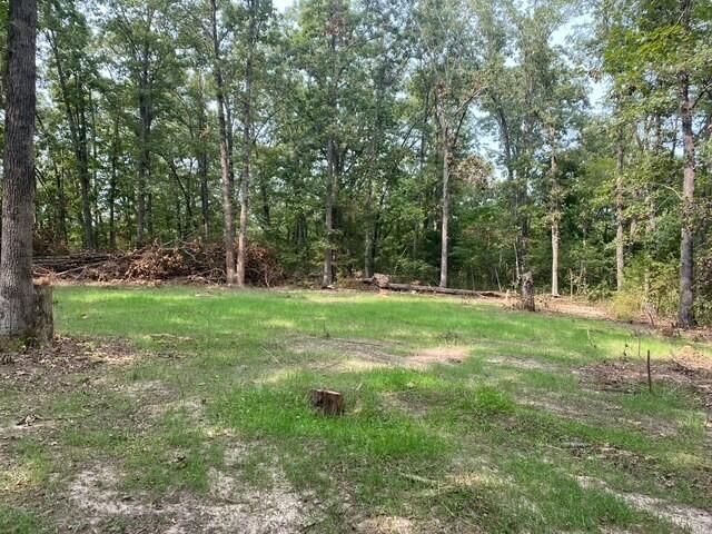 1307 Route Af, Ava, MO 65608