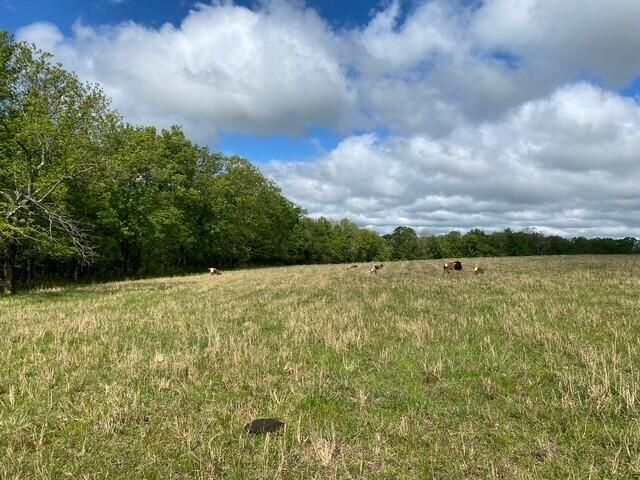 1307 Route Af, Ava, MO 65608