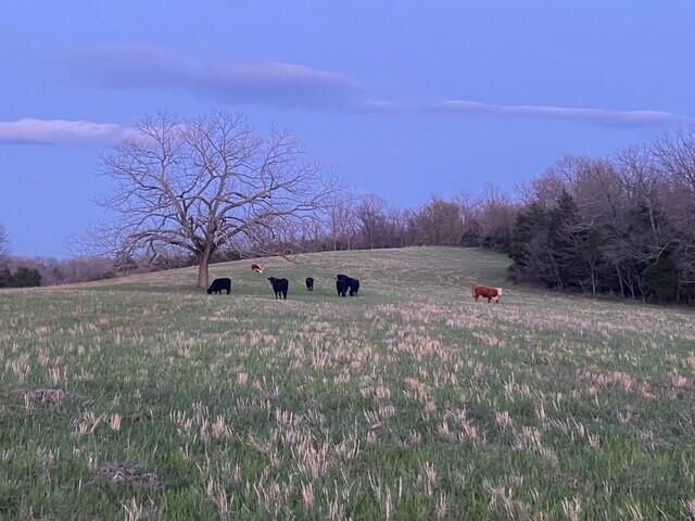 1307 Route Af, Ava, MO 65608