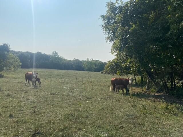 1307 Route Af, Ava, MO 65608