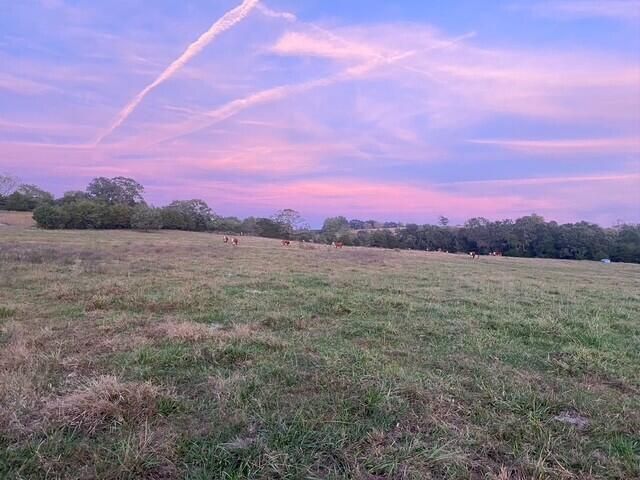 1307 Route Af, Ava, MO 65608