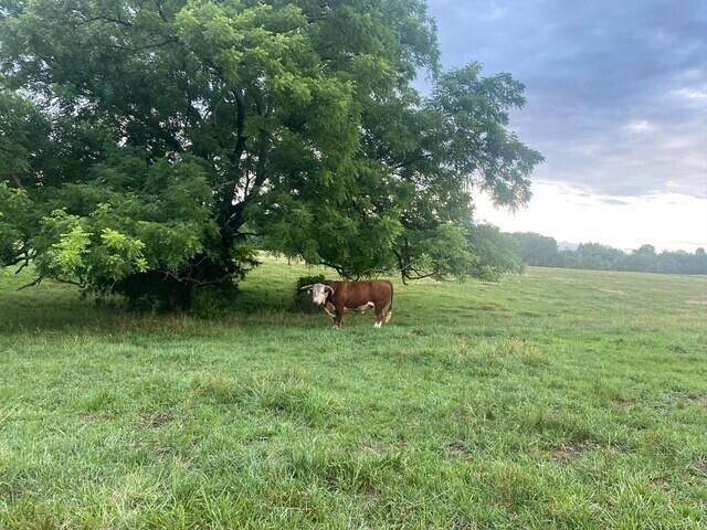 1307 Route Af, Ava, MO 65608