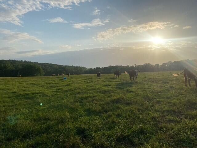 1307 Route Af, Ava, MO 65608