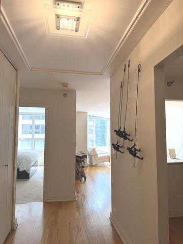 401 E Ontario Street 3408, Chicago, IL 60611