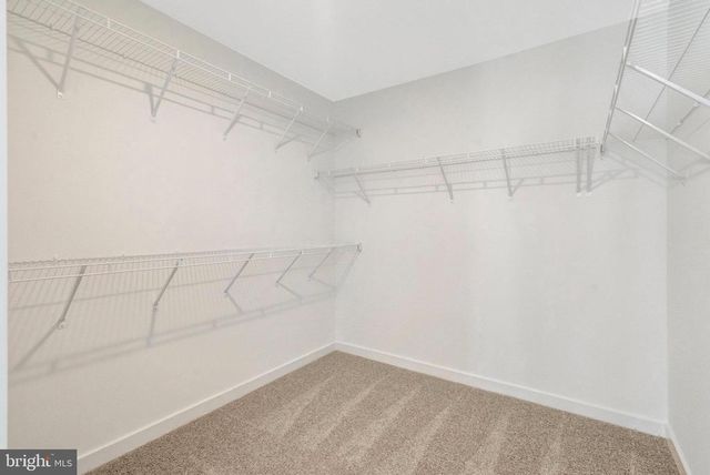 2087 SPRINGVALE DR, Bealeton, VA 22712