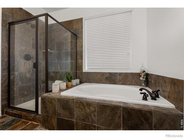 784 Ellsworth Court, Castle Rock, CO 80104