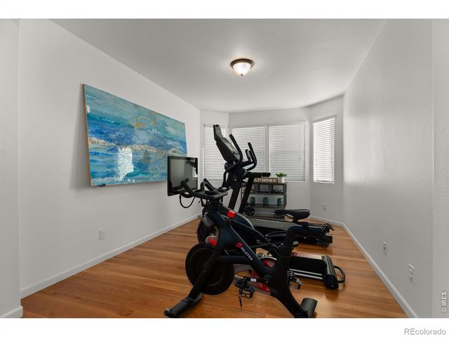 784 Ellsworth Court, Castle Rock, CO 80104