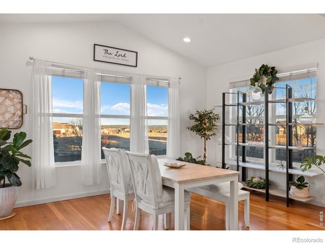 784 Ellsworth Court, Castle Rock, CO 80104