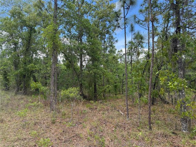 00 SE 126TH TERRACE, Dunnellon, FL 34431