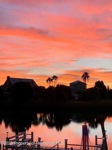 3342 Turks Cap Drive, Hernando Beach, FL 34607