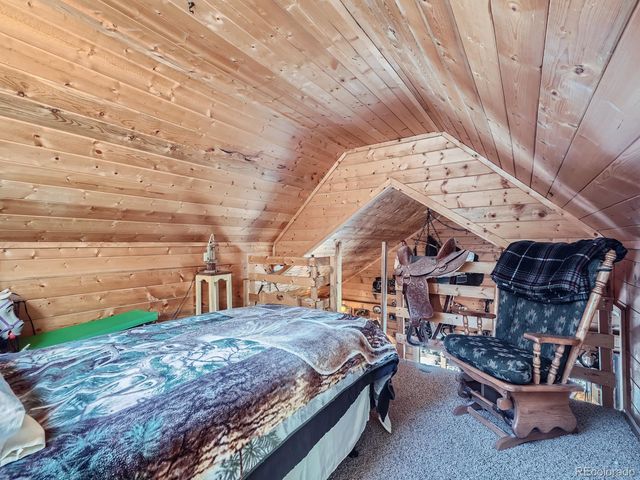 139 Hayes Road, Bailey, CO 80421