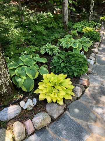 5635 N Leland Woods Drive, Leland, MI 49654