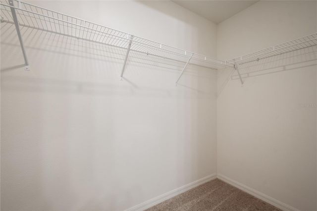 1188 MOYLE WAY, Mascotte, FL 34753