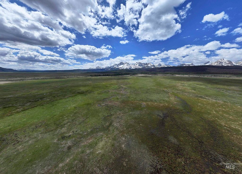 1000 Nip N Tuck Rd, Stanley, ID 83278 photo 37