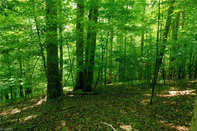 16 Roby Fulk Road, Pinnacle, NC 27043