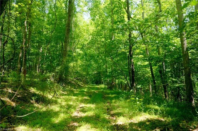 16 Roby Fulk Road, Pinnacle, NC 27043