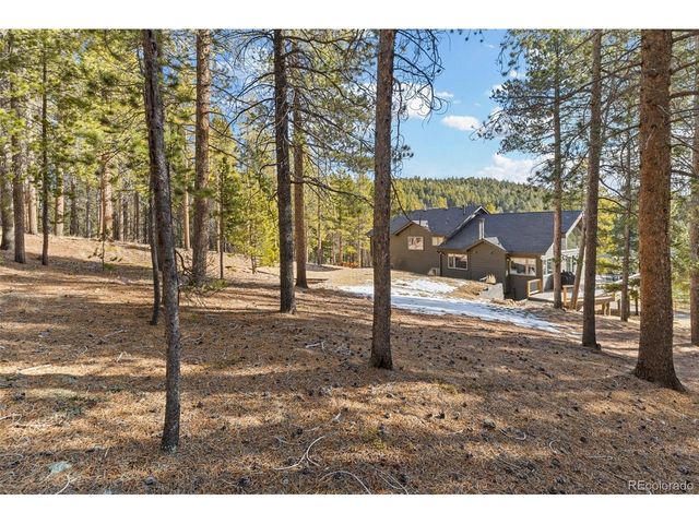 32663 Donna Dr, Conifer, CO 80433