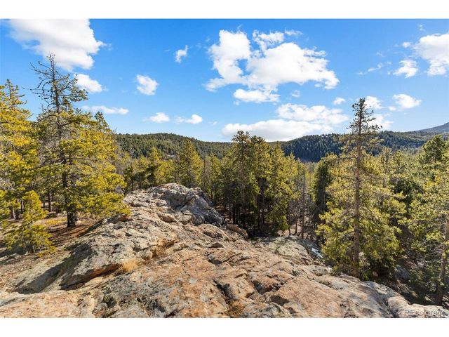 32663 Donna Dr, Conifer, CO 80433