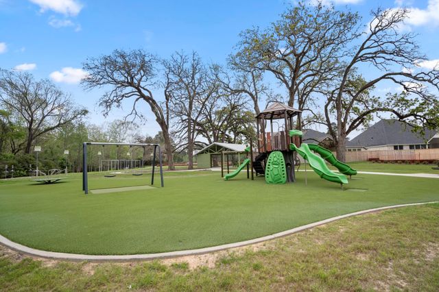 15315 Mountain Plover Place, Magnolia, TX 77354