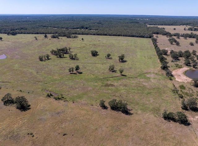 1078 Old Pin Oak RD Tract 2, Paige, TX 78659