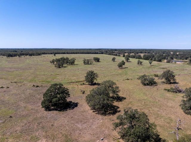 1078 Old Pin Oak RD Tract 2, Paige, TX 78659
