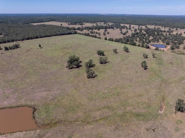 1078 Old Pin Oak RD Tract 2, Paige, TX 78659