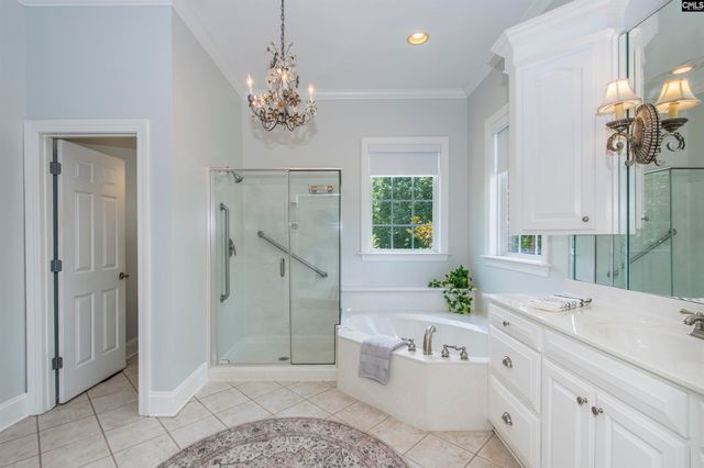 401 Bent Oak Court, Chapin, SC 29036