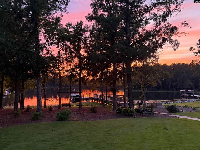 401 Bent Oak Court, Chapin, SC 29036