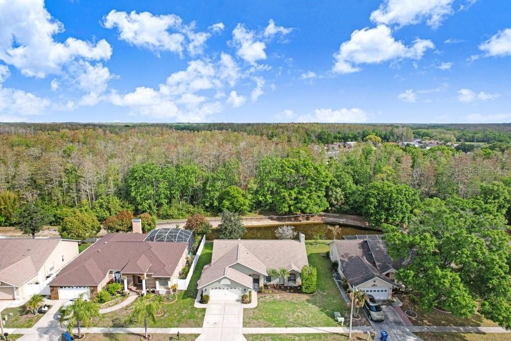 Image 33 of property listing at 8549 PINAFORE DRIVE, New Port Richey, FL 34653