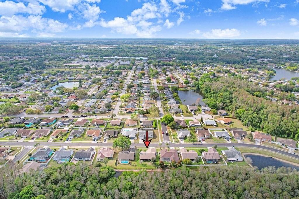 Image 37 of property listing at 8549 PINAFORE DRIVE, New Port Richey, FL 34653