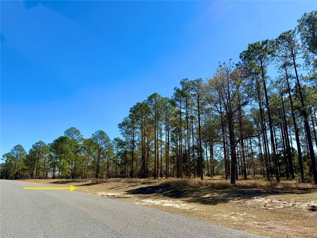 35135 PINEGATE TRAIL, Eustis, FL 32736