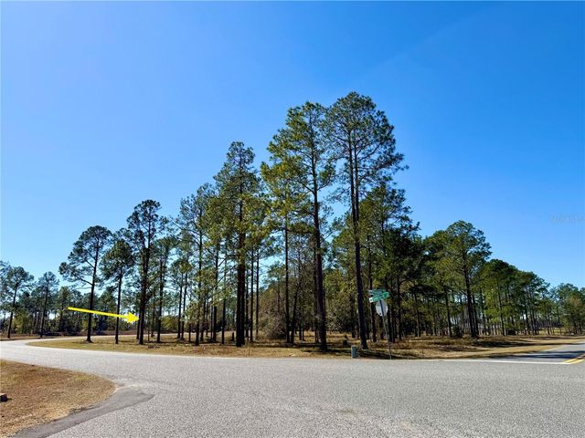 35135 PINEGATE TRAIL, Eustis, FL 32736