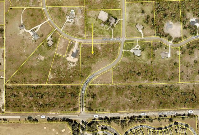 35135 PINEGATE TRAIL, Eustis, FL 32736