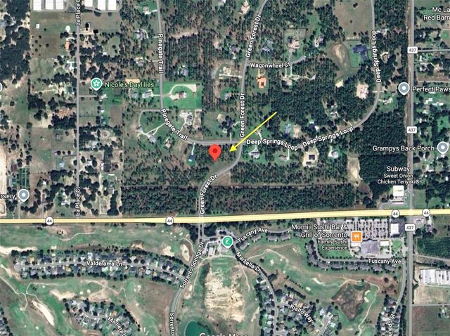 35135 PINEGATE TRAIL, Eustis, FL 32736