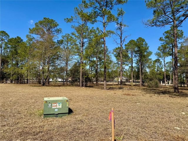 35135 PINEGATE TRAIL, Eustis, FL 32736