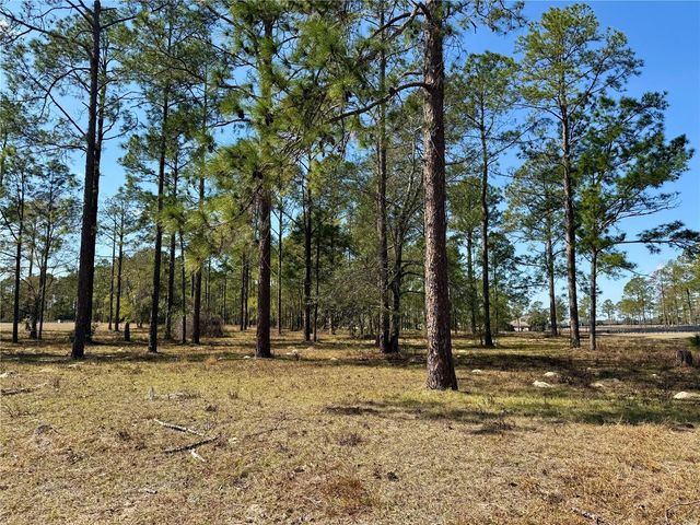 35135 PINEGATE TRAIL, Eustis, FL 32736