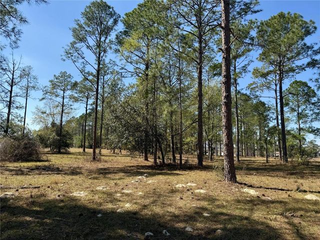 35135 PINEGATE TRAIL, Eustis, FL 32736