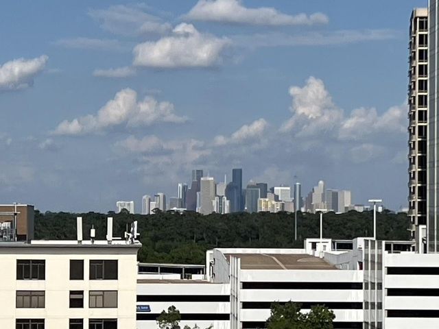 5050 Woodway Drive 8N, Houston, TX 77056